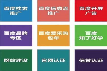 sem竞价托管代运营——广告优化的典范案例